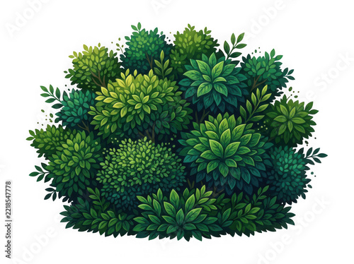 Dense green bush isolated on transparent backdrop