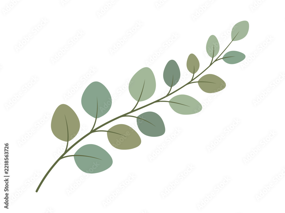 Obraz premium Eucalyptus Branch with Green Leaves in Soft Colors