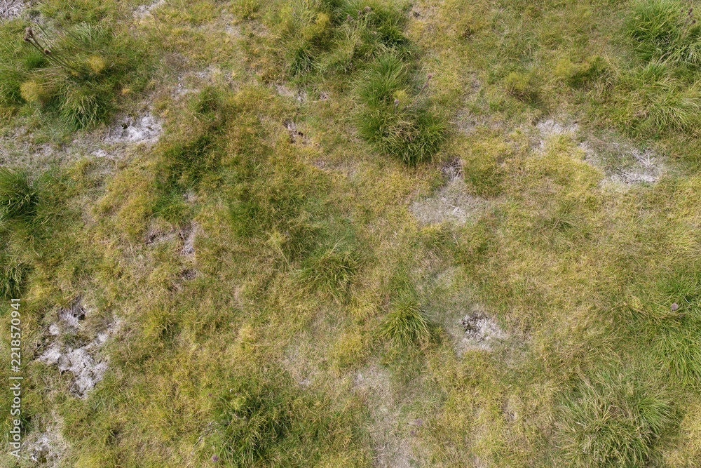 Fototapeta premium The Grass Field Aerial View Highlighting Textured Patches and Subtle Shades