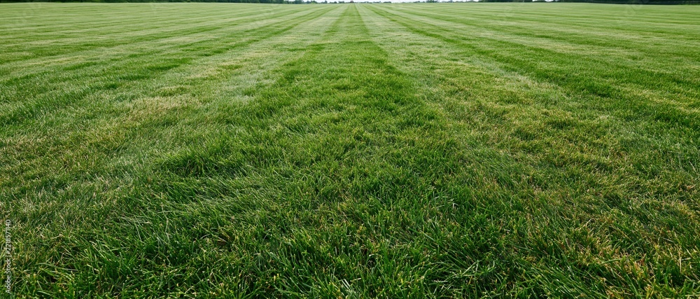 Fototapeta premium Freshly mowed grass field stretching to the horizon with striped pattern and open sky above