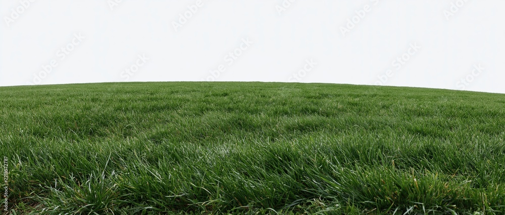 Fototapeta premium Neatly trimmed green lawn stretching across a flat expanse under an overcast sky