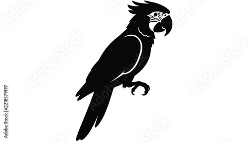 Silhouette of a parrot perched on a branch showing intricate feather textures on a solid white background.