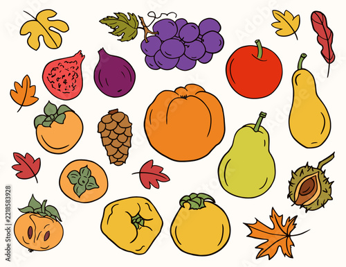 Autumn harvest collection. Fall fruit and leaves