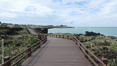 Coastal Wooden Walkway Through a Cactus Habitat in Jeju Island, South Korea