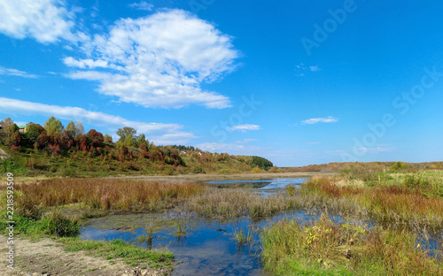 Autumn rural landscape with swampy meadow and blue sky.