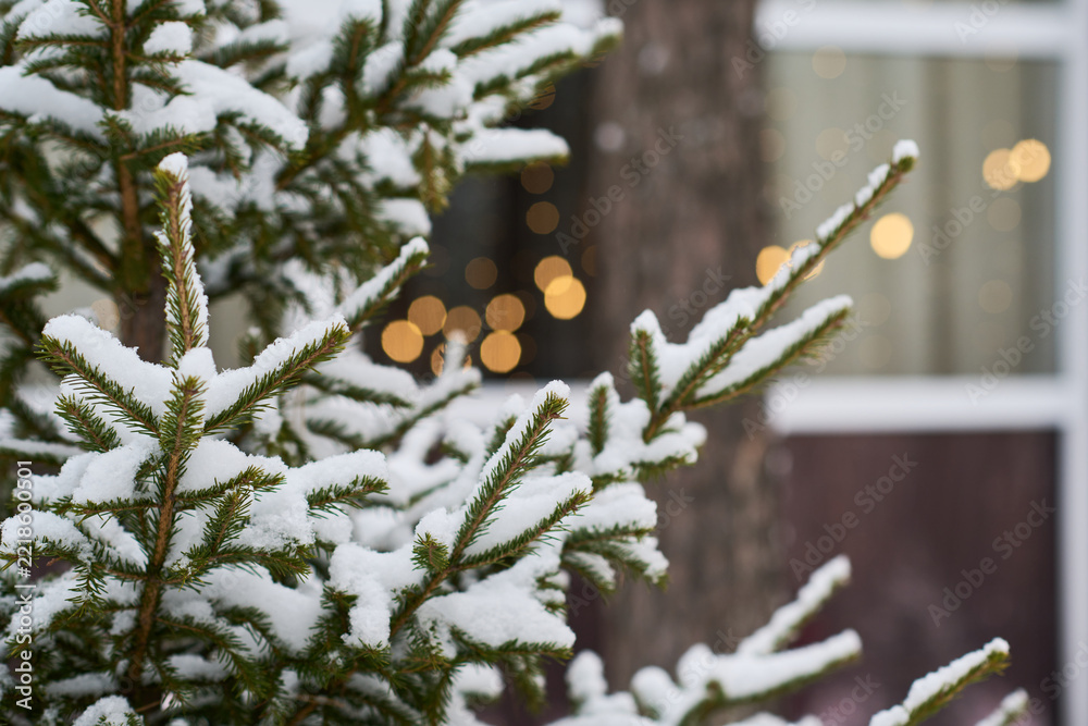 Fototapeta premium Close up shot of pine tree branches covered in fresh snow with blurred holiday lights in background. Festive winter nature image for Christmas greeting cards and seasonal marketing
