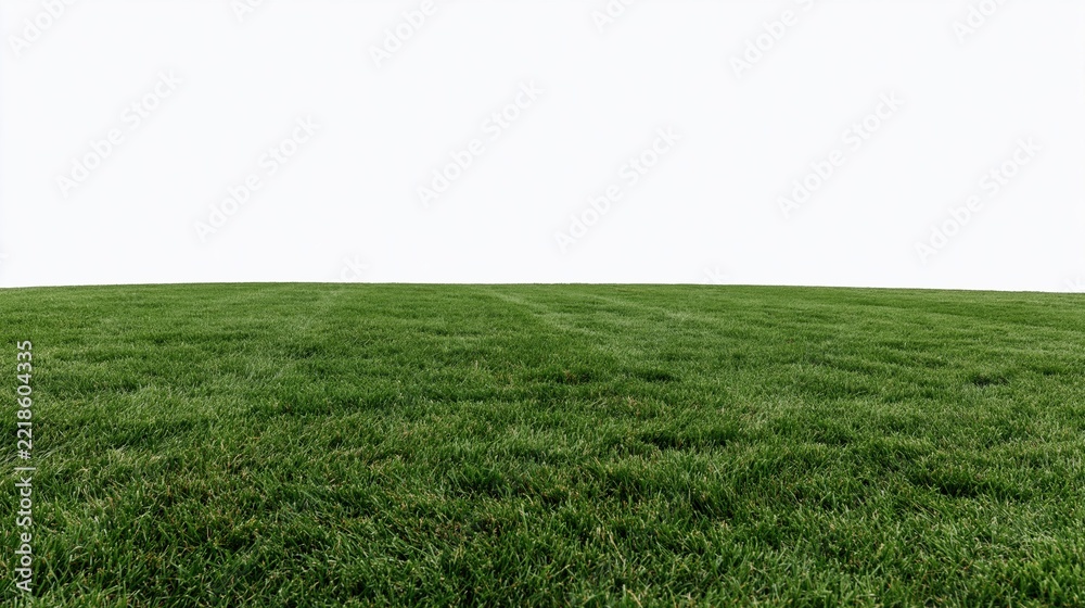 Naklejka premium Neatly mowed green grass field under white sky with copyspace above