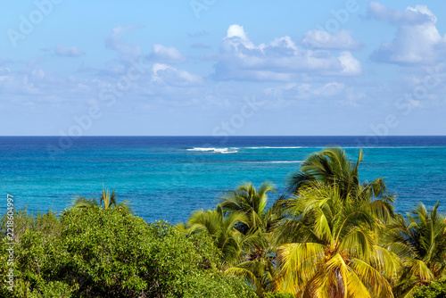 Tropical Palm Trees Overlooking the Turquoise Caribbean Sea at Playa Esmeralda neare Holguin (Cuba)