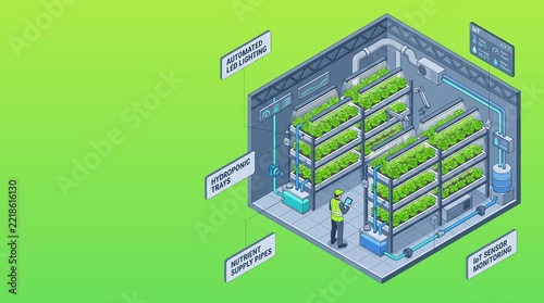 Smart Indoor Vertical Hydroponic Farm Isometric Infographic Diagram