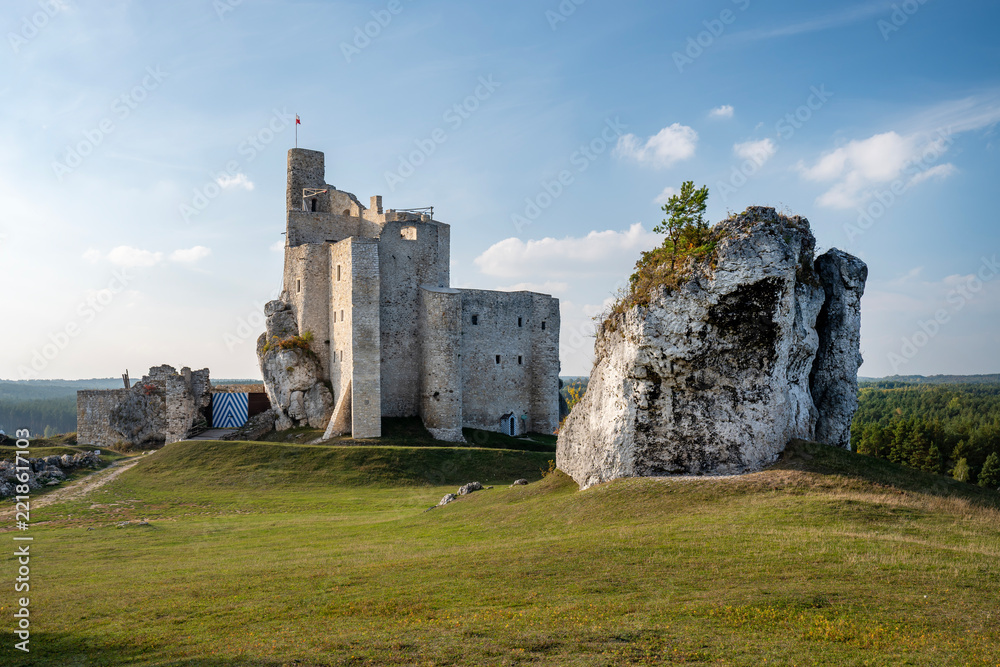 Naklejka premium Zamek Mirów. Jura Krakowsko-Częstochowska. Polska.