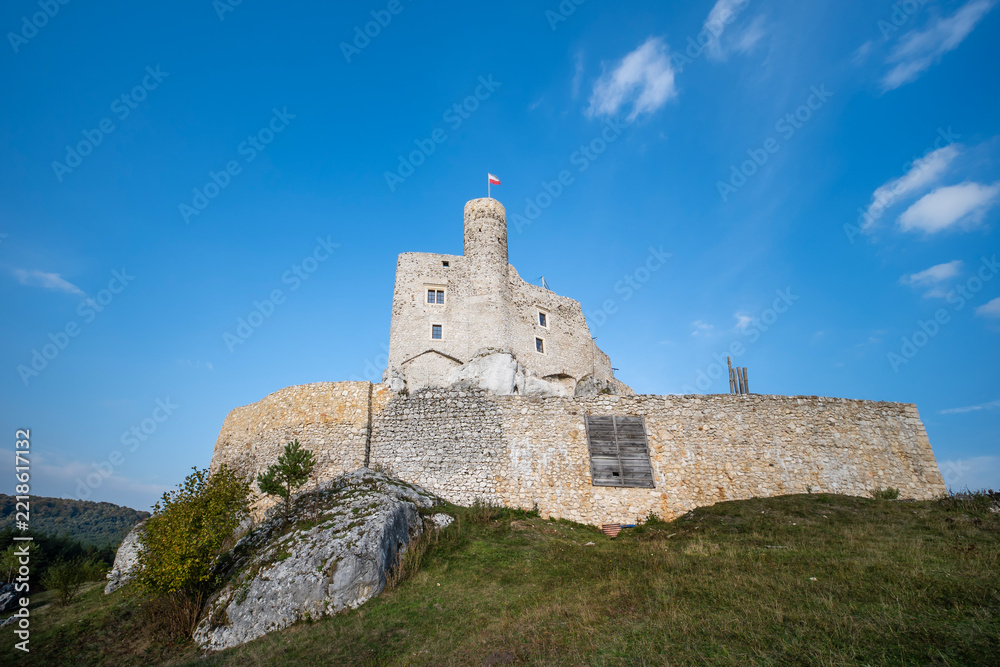 Fototapeta premium Zamek Mirów. Jura Krakowsko-Częstochowska. Polska.