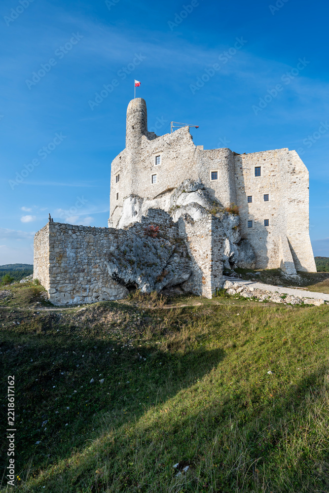 Fototapeta premium Zamek Mirów. Jura Krakowsko-Częstochowska. Polska.