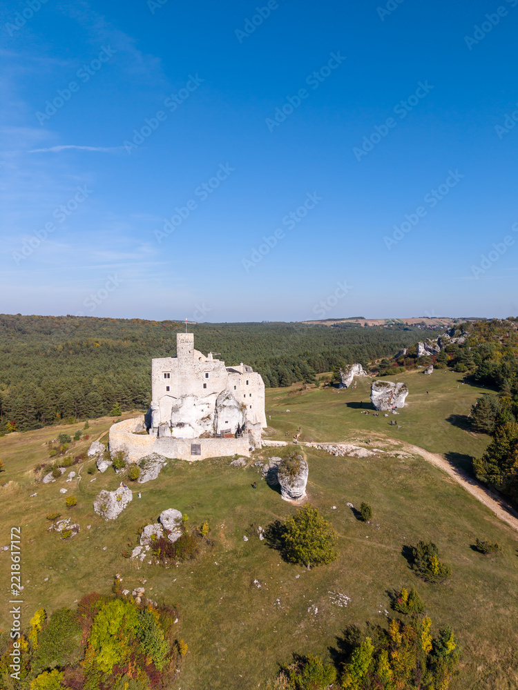 Naklejka premium Zamek Mirów. Jura Krakowsko-Częstochowska. Polska.