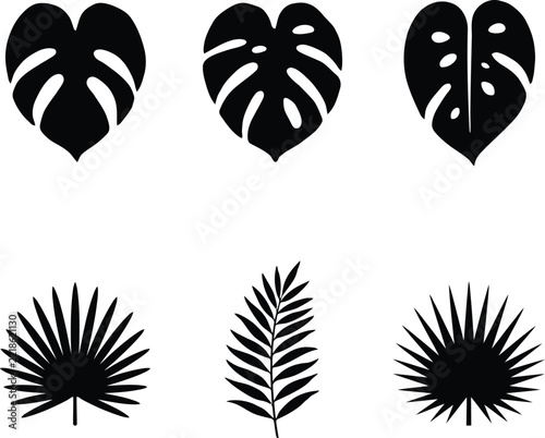 Leaves vector set depicting diverse tropical botanical foliage