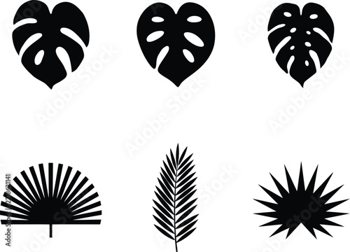 Leaves vector set showcasing varied tropical plant botanical