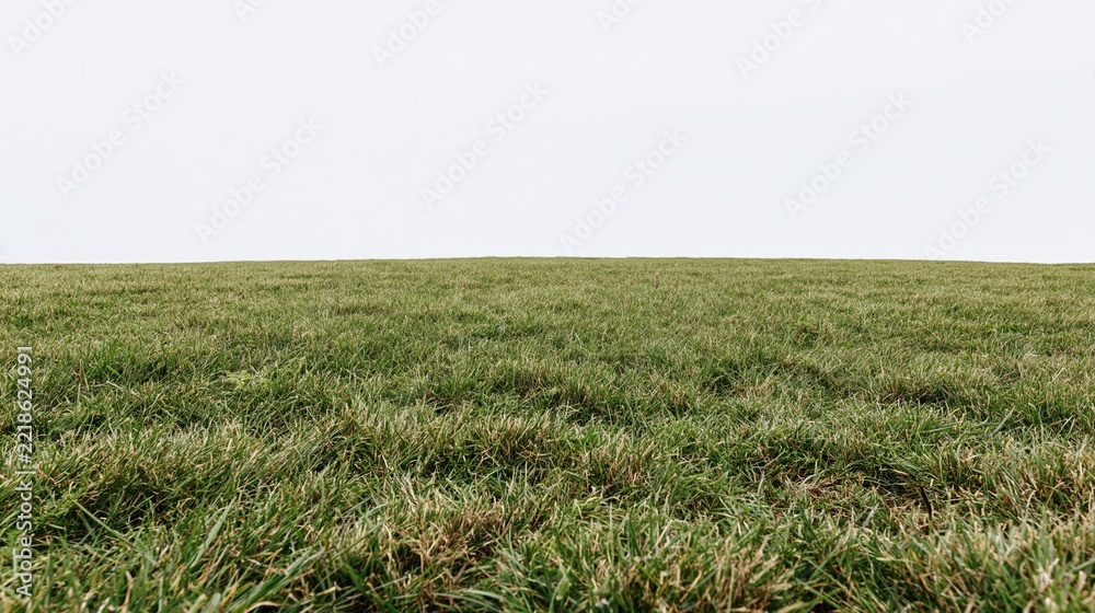 Naklejka premium Wide open grass field stretching to the horizon under overcast sky