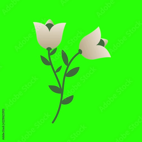 Animated Floral Stem Illustration