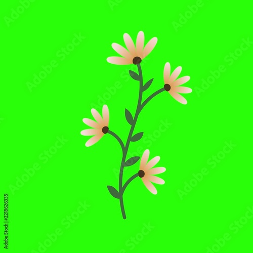 Animated Floral Stem Illustration