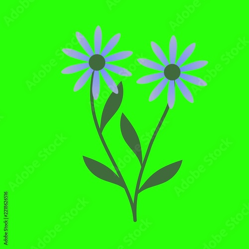 Animated Floral Stem Illustration
