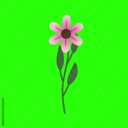 Animated Floral Stem Illustration