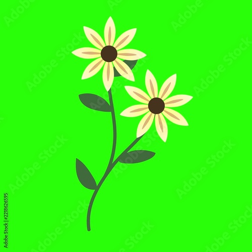 Animated Floral Stem Illustration