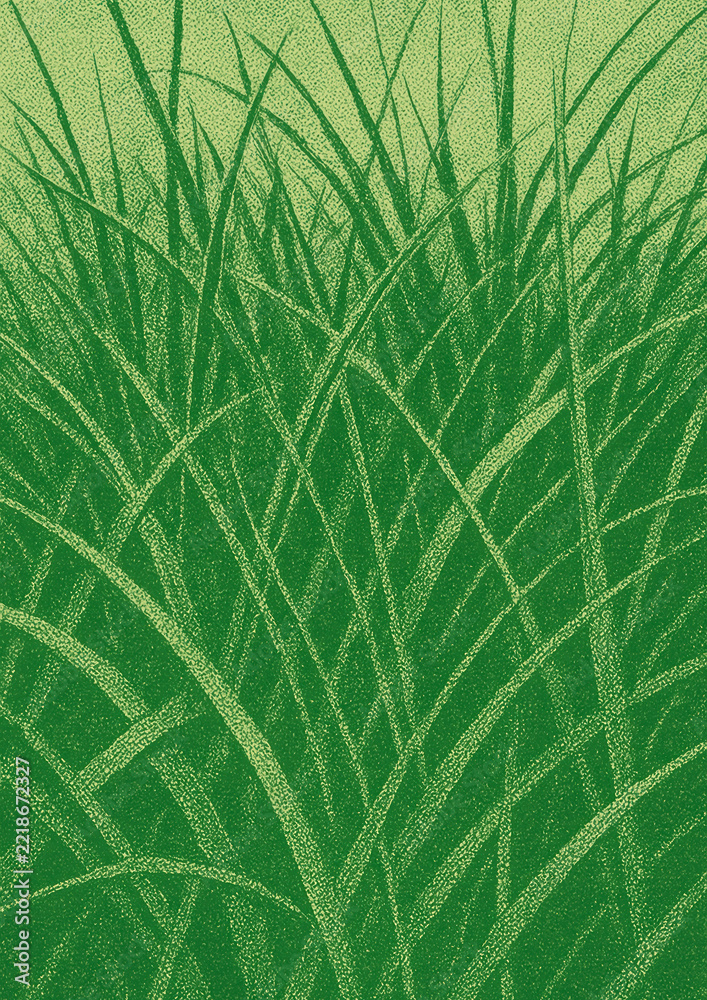 Fototapeta premium Lush green grass illustration.