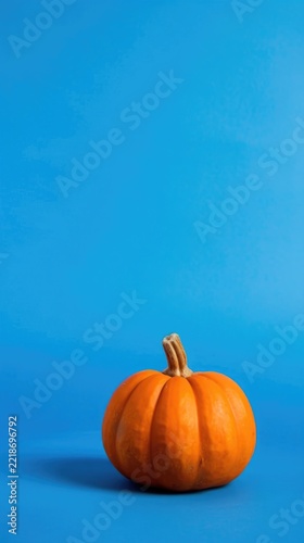 Single orange pumpkin on blue background with copy space