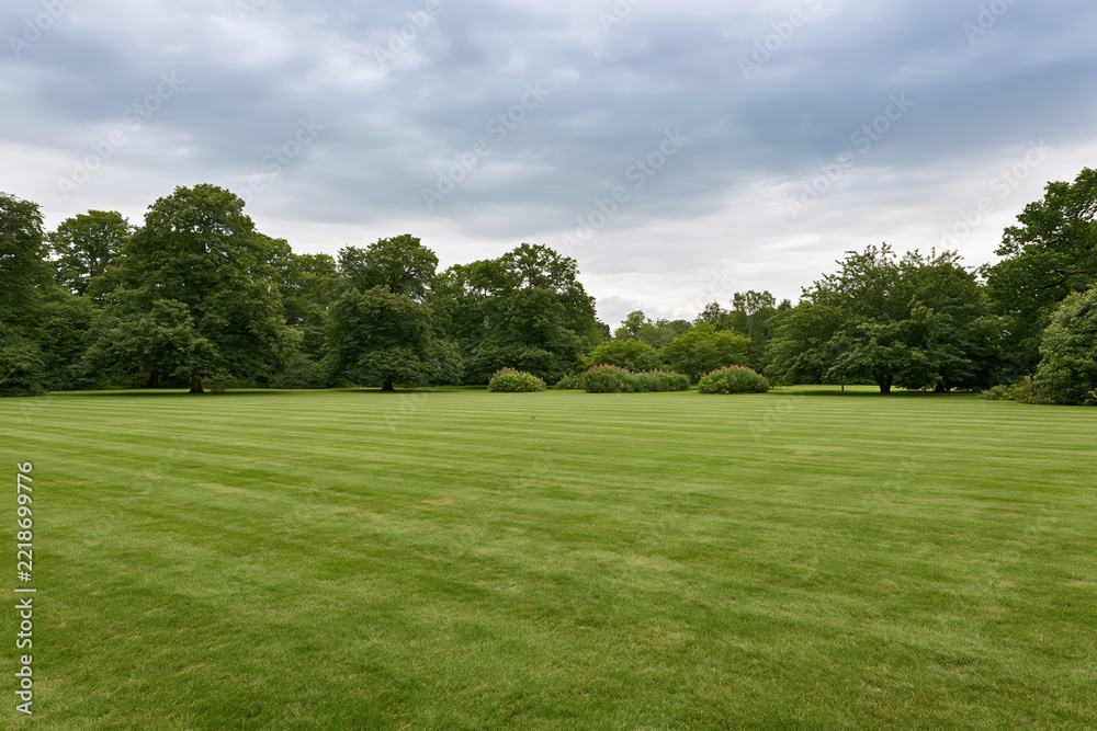 Fototapeta premium The Expansive Lawn in a Tranquil Park Under a Cloudy Sky