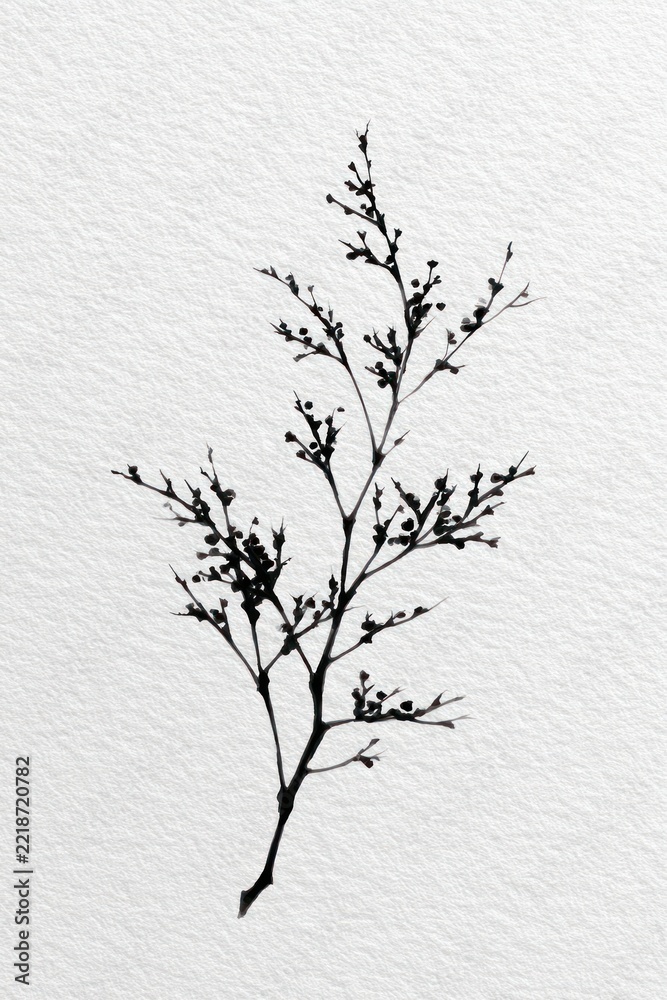 Fototapeta premium Minimalist black ink illustration of a delicate plant on textured paper.
