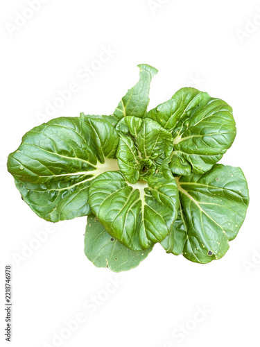 Top view of fresh green pak choi cabbage (Brassica rapa subsp. chinensis) isolated on transparent background PNG file.