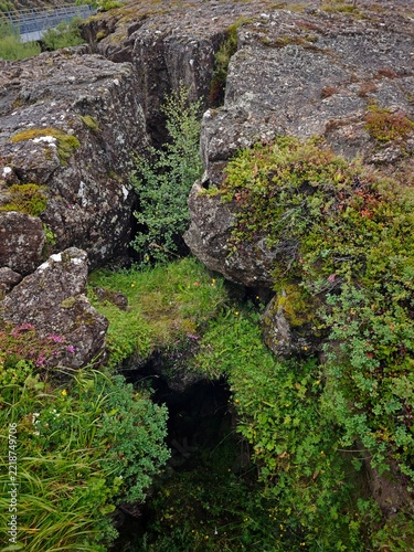 Tectonic Plate Fault Line Crack at Thingvellir Iceland