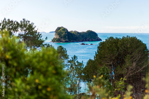 A small rocky island covered in dense greenery sits in calm blue ocean water, framed by coastal trees and shrubs under a clear Coromandel sky