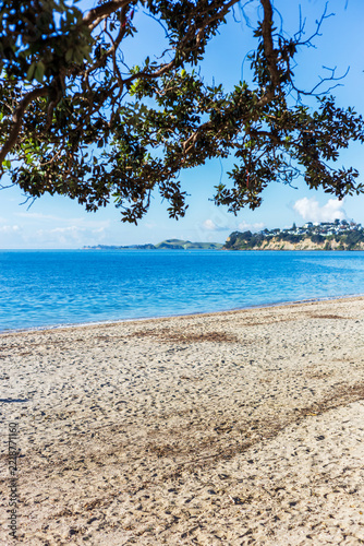 Mission Bay’s sandy shoreline meets calm blue water