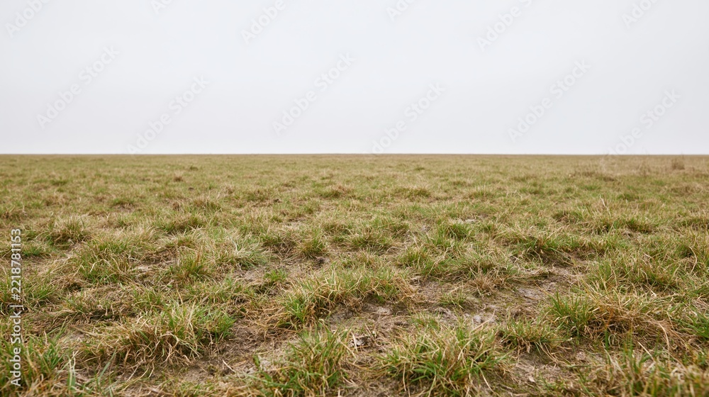 Fototapeta premium Wide low-angle view of a flat grassy field stretching to the horizon under an overcast sky