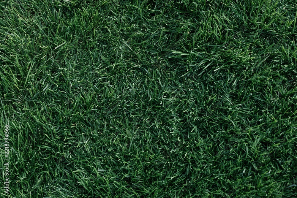 Naklejka premium The Close-Up Grass Texture Capturing Lush Green Fiber Details and Patterns