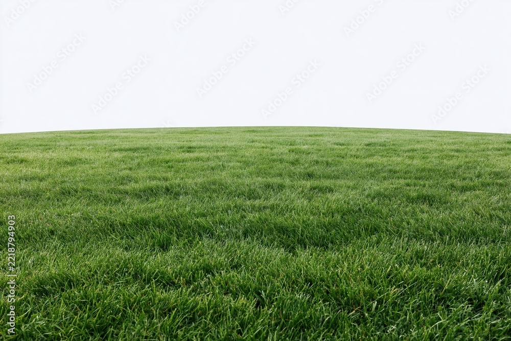 Fototapeta premium The Grass Field Under Bright Sky On A Vast Open Landscape