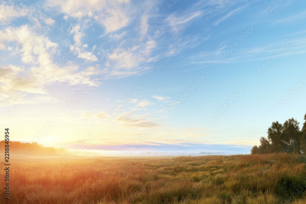 Obraz premium Golden sunrise over a misty meadow with distant trees and blue sky