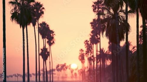 Palm tree lined avenue at sunset with warm hues and soft focus