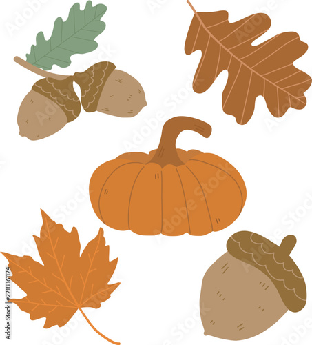 Autumn vector Element Collection.Cute pumpkin, leaves.  