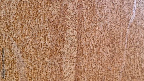 Surface texture of a wall showing natural patterns and colors