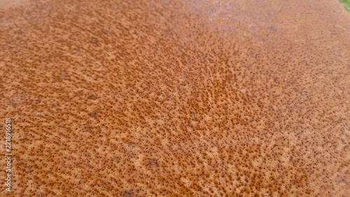 Texture of a surface with rust patterns in natural light