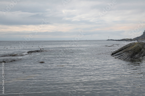 beach in the morning