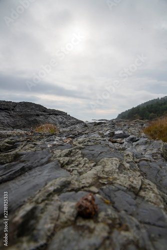 rocks on the coast