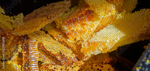 Close up of fresh honeycomb inside dark beehive