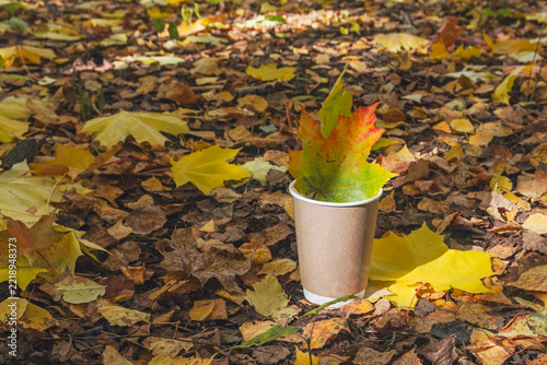 Eco friendly recycling concept with an autumn maple leaf inside a paper coffee cup on the ground.