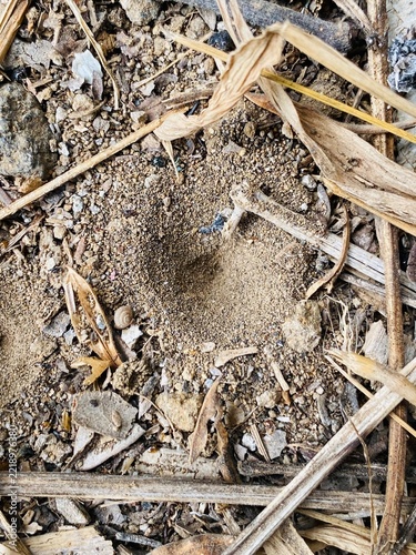 close up of a tree stump