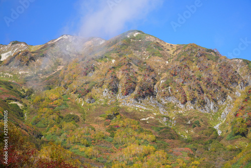 栂池自然園の紅葉