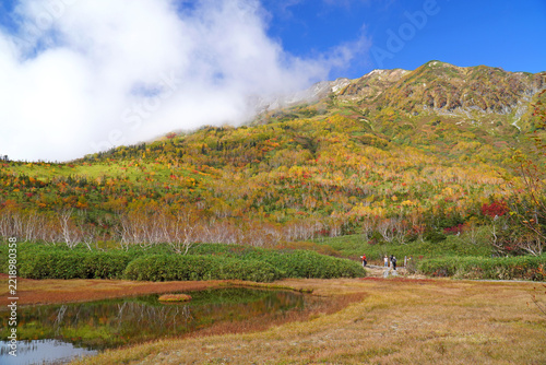 栂池自然園の紅葉