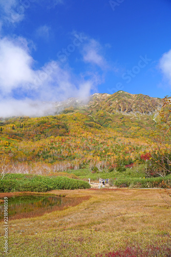 栂池自然園の紅葉