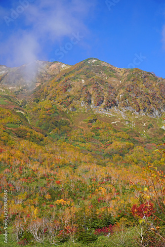 栂池自然園の紅葉